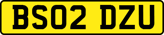 BS02DZU