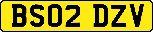 BS02DZV
