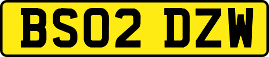 BS02DZW