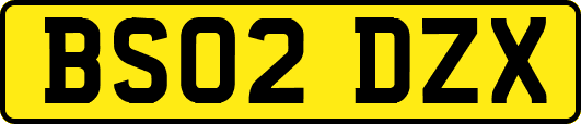 BS02DZX