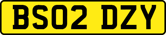BS02DZY