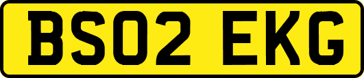 BS02EKG