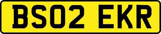 BS02EKR