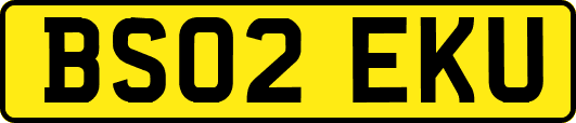 BS02EKU
