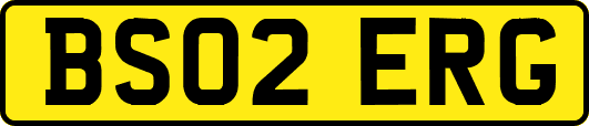 BS02ERG