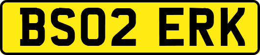 BS02ERK