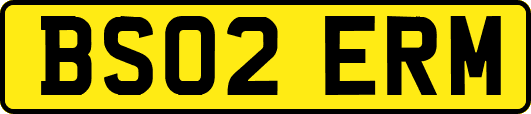 BS02ERM