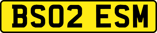 BS02ESM