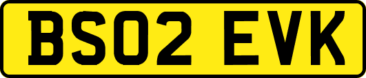 BS02EVK