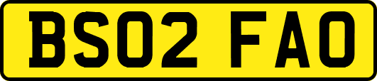 BS02FAO