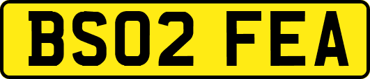 BS02FEA