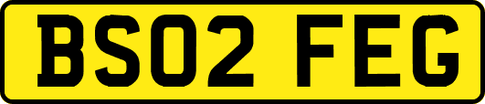 BS02FEG