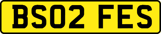 BS02FES