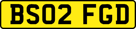 BS02FGD