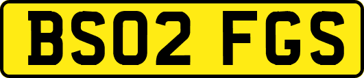 BS02FGS