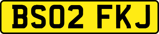 BS02FKJ