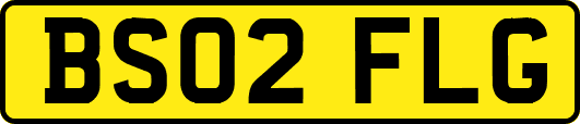 BS02FLG