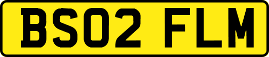 BS02FLM