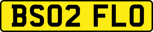 BS02FLO