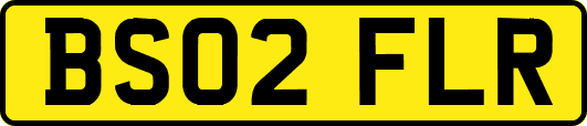 BS02FLR