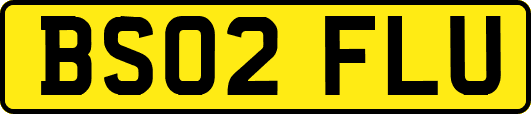 BS02FLU