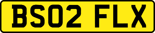 BS02FLX