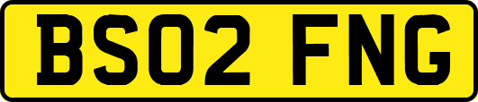 BS02FNG