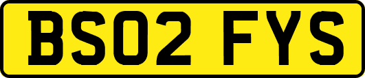 BS02FYS