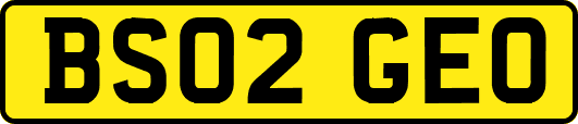 BS02GEO