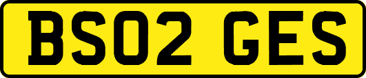 BS02GES