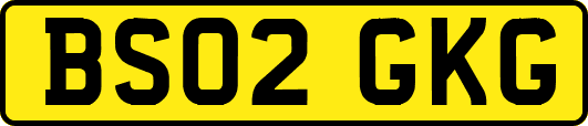 BS02GKG