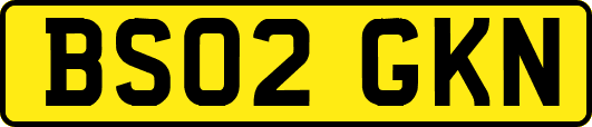 BS02GKN