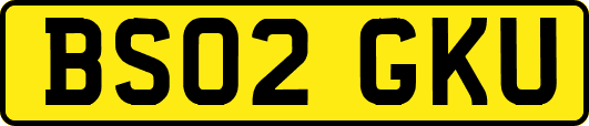 BS02GKU