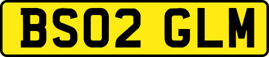 BS02GLM
