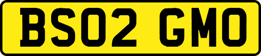 BS02GMO