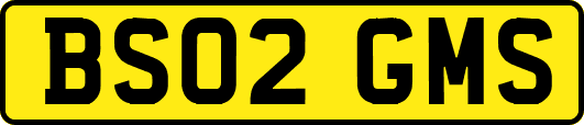 BS02GMS