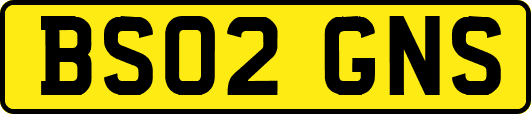 BS02GNS