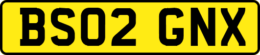 BS02GNX