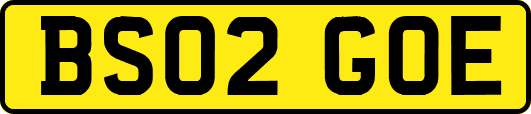 BS02GOE