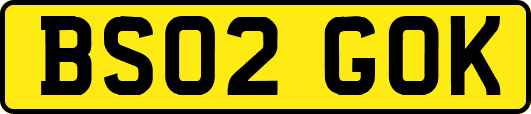 BS02GOK
