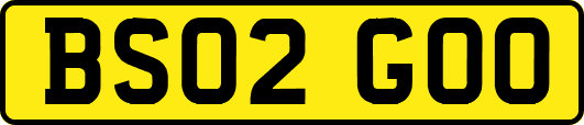 BS02GOO