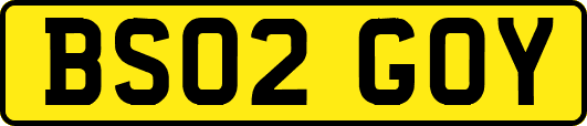 BS02GOY