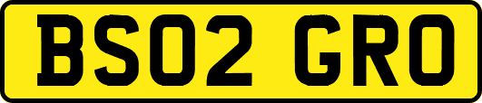 BS02GRO