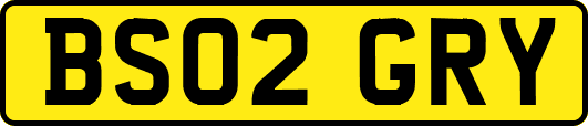 BS02GRY