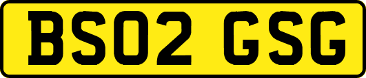 BS02GSG