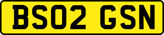 BS02GSN