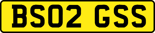 BS02GSS