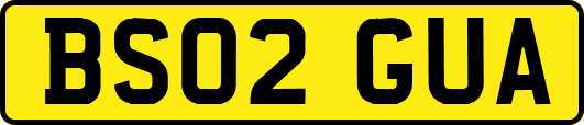 BS02GUA