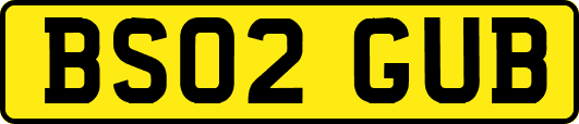 BS02GUB