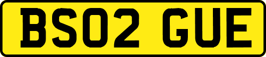 BS02GUE